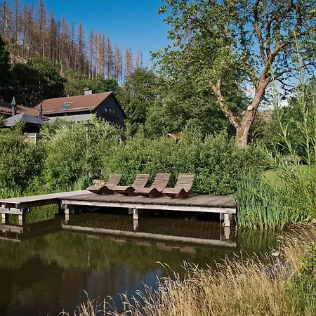 Holiday home Tiny House Nature Dog Friendly 8 - Tiny Village Harz Osterode am Harz