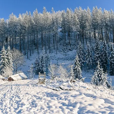 Tiny House Nature Dog Friendly 8 - Tiny Village Harz Holiday home